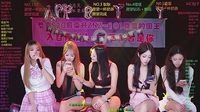 ZNZ-101 webcam