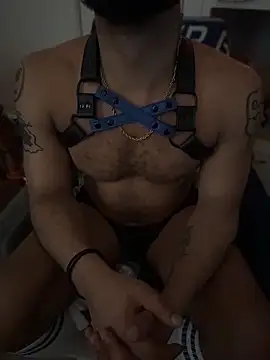 KY_Sir35 webcam