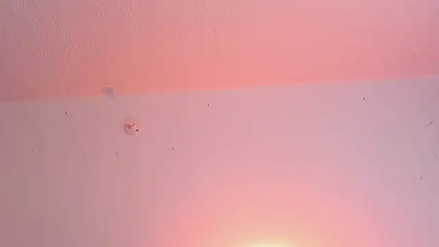 Sophiie_dreams webcam