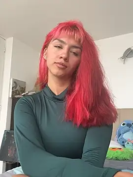 nth-li webcam