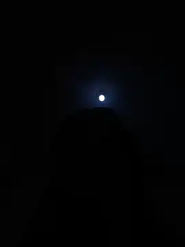 mayemarc webcam