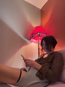 DarkDesin webcam