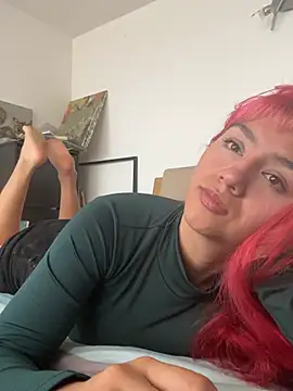 nth-li webcam