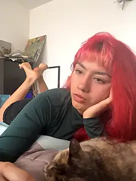 nth-li webcam