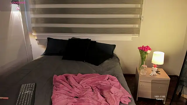 MERIDA_TAYLOR webcam