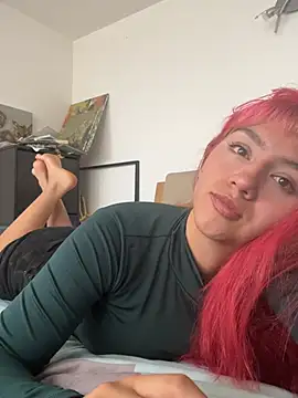 nth-li webcam