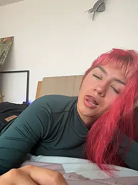 nth-li webcam