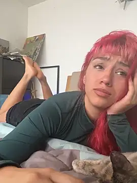 nth-li webcam