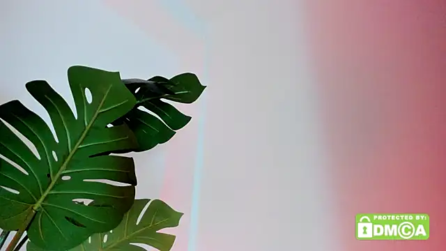 lovesweetash webcam