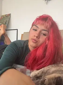 nth-li webcam