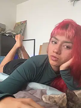 nth-li webcam