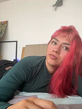 nth-li webcam
