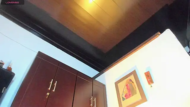 CamiloGray_ webcam