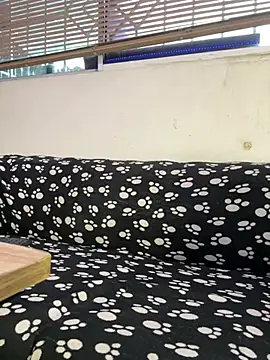cody_fox10 webcam