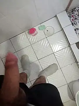 33elguason webcam