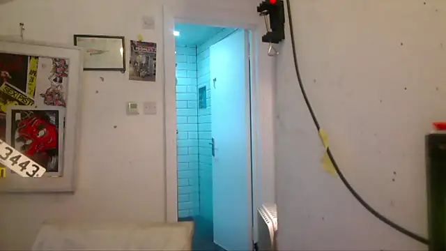 mista_sista_fista webcam