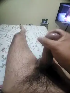 rulpi1313 webcam