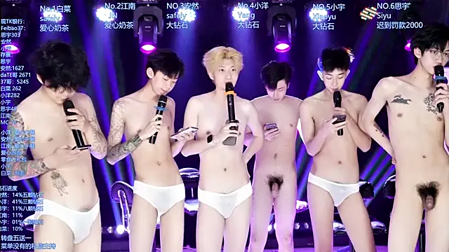 AOA-MIC webcam