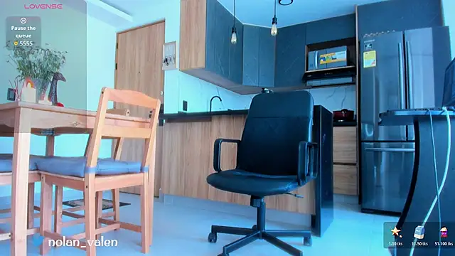 fitnolan webcam