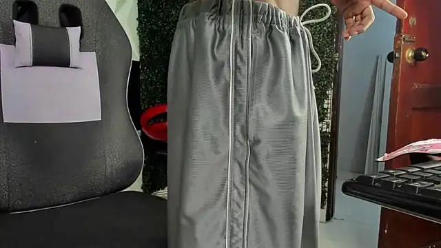 ManSant webcam