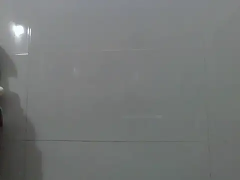 Ana_2023 webcam