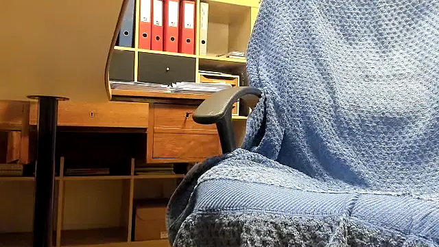 leccaleccafiga webcam