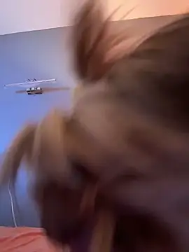 DarkDesin webcam