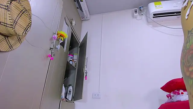 vennuss19 webcam