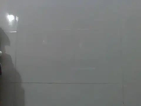 Ana_2023 webcam