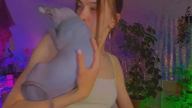poli__ webcam