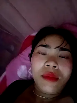 Nul_chal webcam