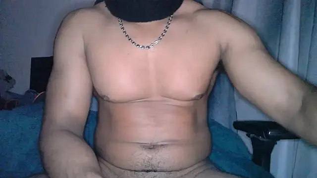 Metisse-BBC webcam