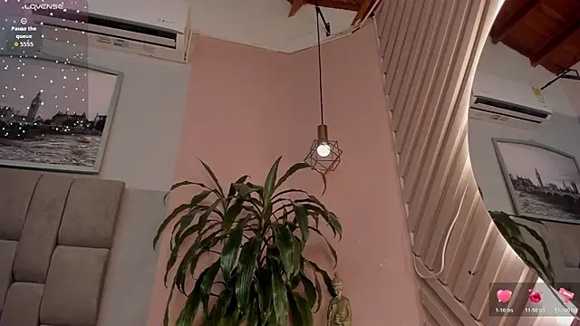 dyvis_22 webcam