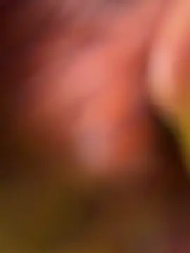 Samyra_Biker12 webcam