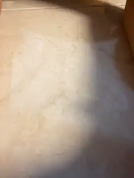 Carlafox05