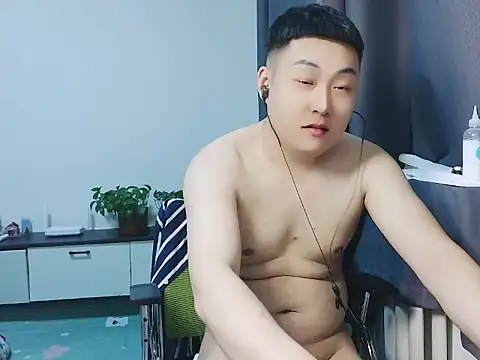 Llpl322 webcam