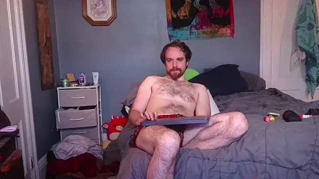 hpluvsplata webcam