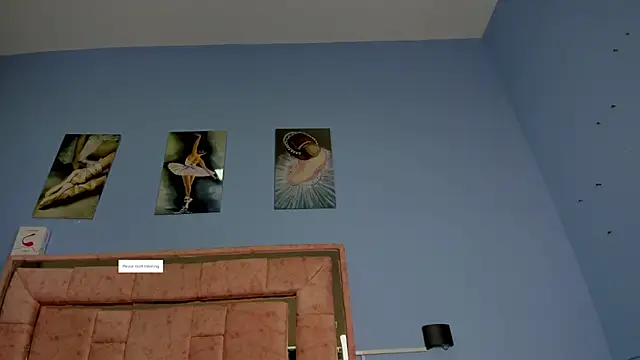 SAMY_NIX webcam