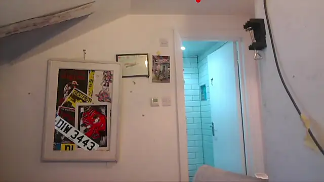 mista_sista_fista webcam