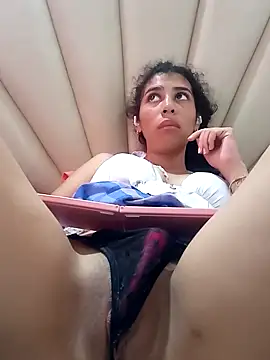 noe_30 webcam