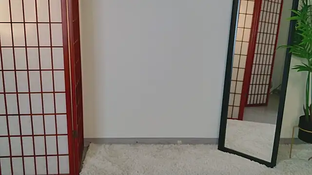 AuraShadow webcam