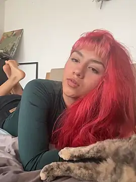 nth-li webcam