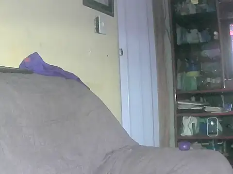 daneht webcam