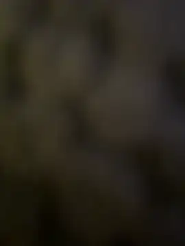anonimgirl18old