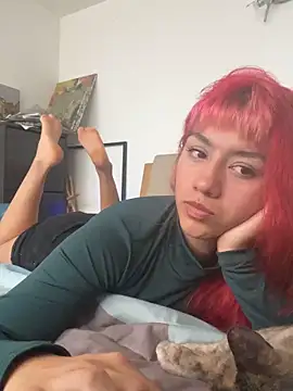 nth-li webcam
