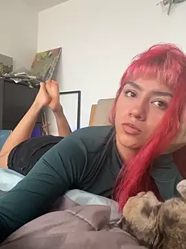 nth-li webcam