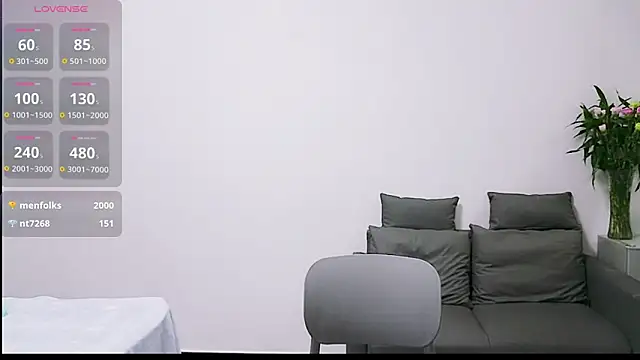 youyou-55 webcam