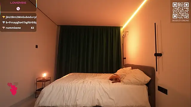 bogduzy webcam