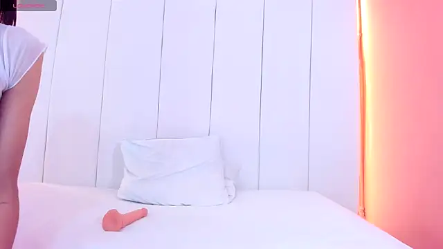 Sunny_OS webcam