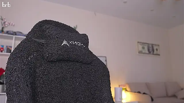 Appr0ved_ webcam